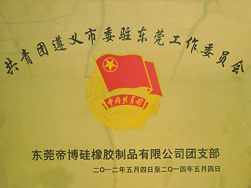 共青團駐東莞委員會